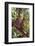 Orangutan and Baby Swinging in the Trees-DLILLC-Framed Photographic Print