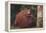 Orangutan and Baby-DLILLC-Framed Premier Image Canvas