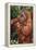 Orangutan and Baby-DLILLC-Framed Premier Image Canvas