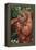 Orangutan and Baby-DLILLC-Framed Premier Image Canvas