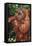 Orangutan and Baby-DLILLC-Framed Premier Image Canvas