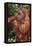 Orangutan and Baby-DLILLC-Framed Premier Image Canvas