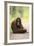 Orangutan and Baby-DLILLC-Framed Photographic Print