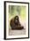 Orangutan and Baby-DLILLC-Framed Photographic Print