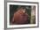 Orangutan and Baby-DLILLC-Framed Photographic Print