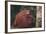 Orangutan and Baby-DLILLC-Framed Photographic Print