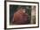 Orangutan and Baby-DLILLC-Framed Photographic Print