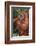 Orangutan and Baby-DLILLC-Framed Photographic Print