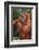 Orangutan and Baby-DLILLC-Framed Photographic Print