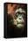 Orangutan and Baby-Lantern Press-Framed Stretched Canvas