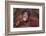 Orangutan Baby on Parent's Back-DLILLC-Framed Photographic Print