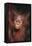Orangutan Baby-DLILLC-Framed Premier Image Canvas