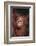 Orangutan Baby-DLILLC-Framed Photographic Print