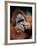 Orangutan, Borneo-Stuart Westmorland-Framed Photographic Print