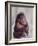 Orangutan Felix and Gigi, St. Louis Zoo-Nina Leen-Framed Photographic Print