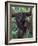 Orangutan Mother and Baby in Tree, Tanjung National Park, Borneo-Theo Allofs-Framed Photographic Print