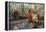Orangutan Rehabilitation Feeding Station-DLILLC-Framed Premier Image Canvas