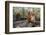 Orangutan Rehabilitation Feeding Station-DLILLC-Framed Photographic Print