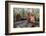 Orangutan Rehabilitation Feeding Station-DLILLC-Framed Photographic Print