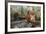 Orangutan Rehabilitation Feeding Station-DLILLC-Framed Photographic Print