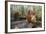 Orangutan Rehabilitation Feeding Station-DLILLC-Framed Photographic Print