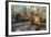 Orangutan Rehabilitation Feeding Station-DLILLC-Framed Photographic Print