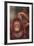 Orangutan Scratching its Head-DLILLC-Framed Photographic Print