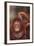 Orangutan Scratching its Head-DLILLC-Framed Photographic Print