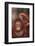 Orangutan Scratching its Head-DLILLC-Framed Photographic Print