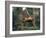 Orangutan Swinging from a Vine in the Jungles of North Borneo-Co Rentmeester-Framed Photographic Print