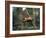 Orangutan Swinging from a Vine in the Jungles of North Borneo-Co Rentmeester-Framed Photographic Print