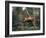 Orangutan Swinging from a Vine in the Jungles of North Borneo-Co Rentmeester-Framed Photographic Print