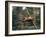 Orangutan Swinging from a Vine in the Jungles of North Borneo-Co Rentmeester-Framed Photographic Print