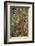 Orangutan with Her Baby-DLILLC-Framed Photographic Print