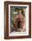 Orangutan with Her Baby-DLILLC-Framed Photographic Print