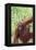 Orangutan-DLILLC-Framed Premier Image Canvas