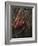 Orangutan-DLILLC-Framed Photographic Print