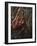 Orangutan-DLILLC-Framed Photographic Print