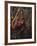 Orangutan-DLILLC-Framed Photographic Print