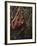 Orangutan-DLILLC-Framed Photographic Print