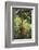 Orangutan-DLILLC-Framed Photographic Print