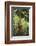 Orangutan-DLILLC-Framed Photographic Print