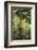 Orangutan-DLILLC-Framed Photographic Print