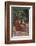 Orangutan-DLILLC-Framed Photographic Print