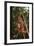 Orangutan-DLILLC-Framed Photographic Print