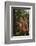 Orangutan-DLILLC-Framed Photographic Print