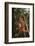 Orangutan-DLILLC-Framed Photographic Print