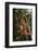 Orangutan-DLILLC-Framed Photographic Print