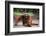 Orangutan-DLILLC-Framed Photographic Print