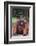 Orangutan-DLILLC-Framed Photographic Print